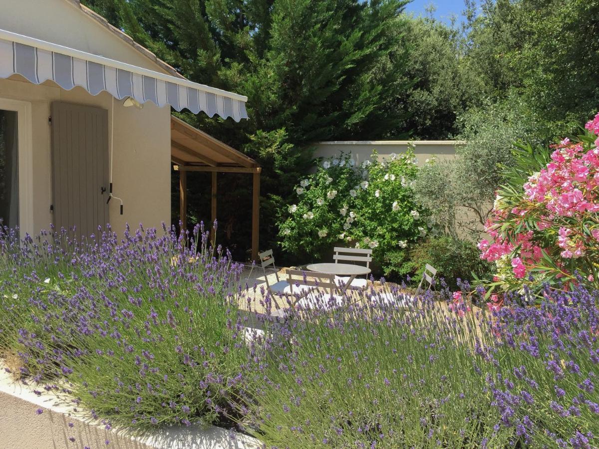 Bed and Breakfast La Bastide Au Ventoux Bédoin Zewnętrze zdjęcie